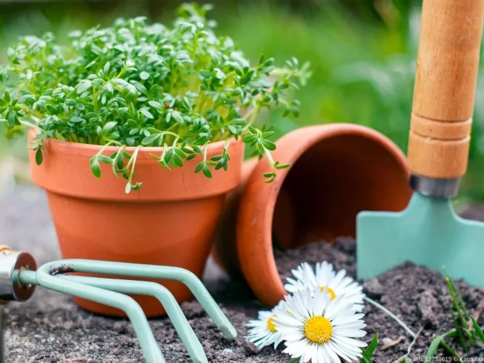 Terapia da Jardinagem