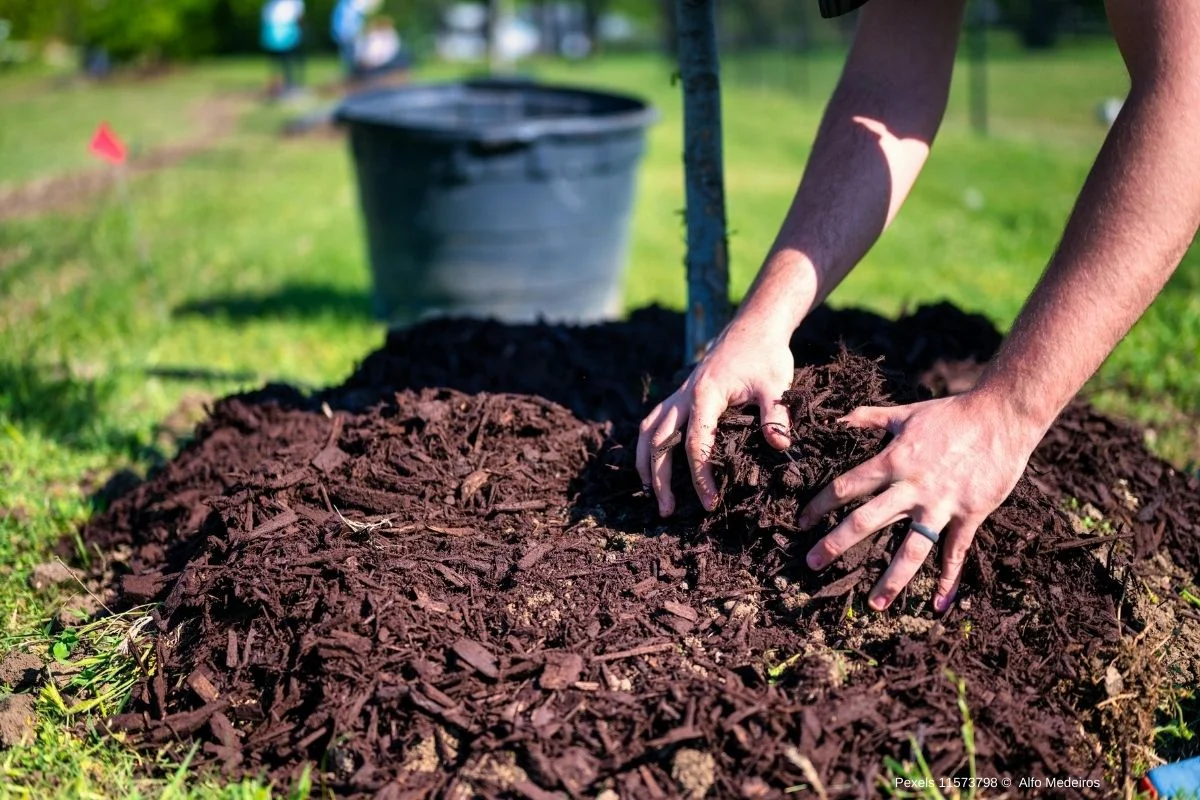 Cobertura de Mulch