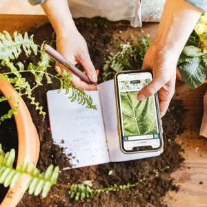 Jardinagem na Era Digital: 10 Dicas Inteligentes para um Jardim Perfeito